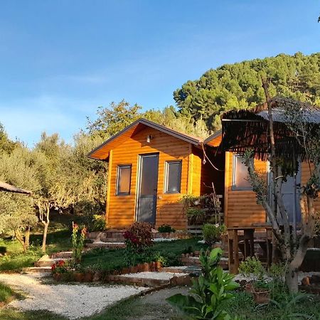 Bujtina Musta Guest House Berat Exterior photo