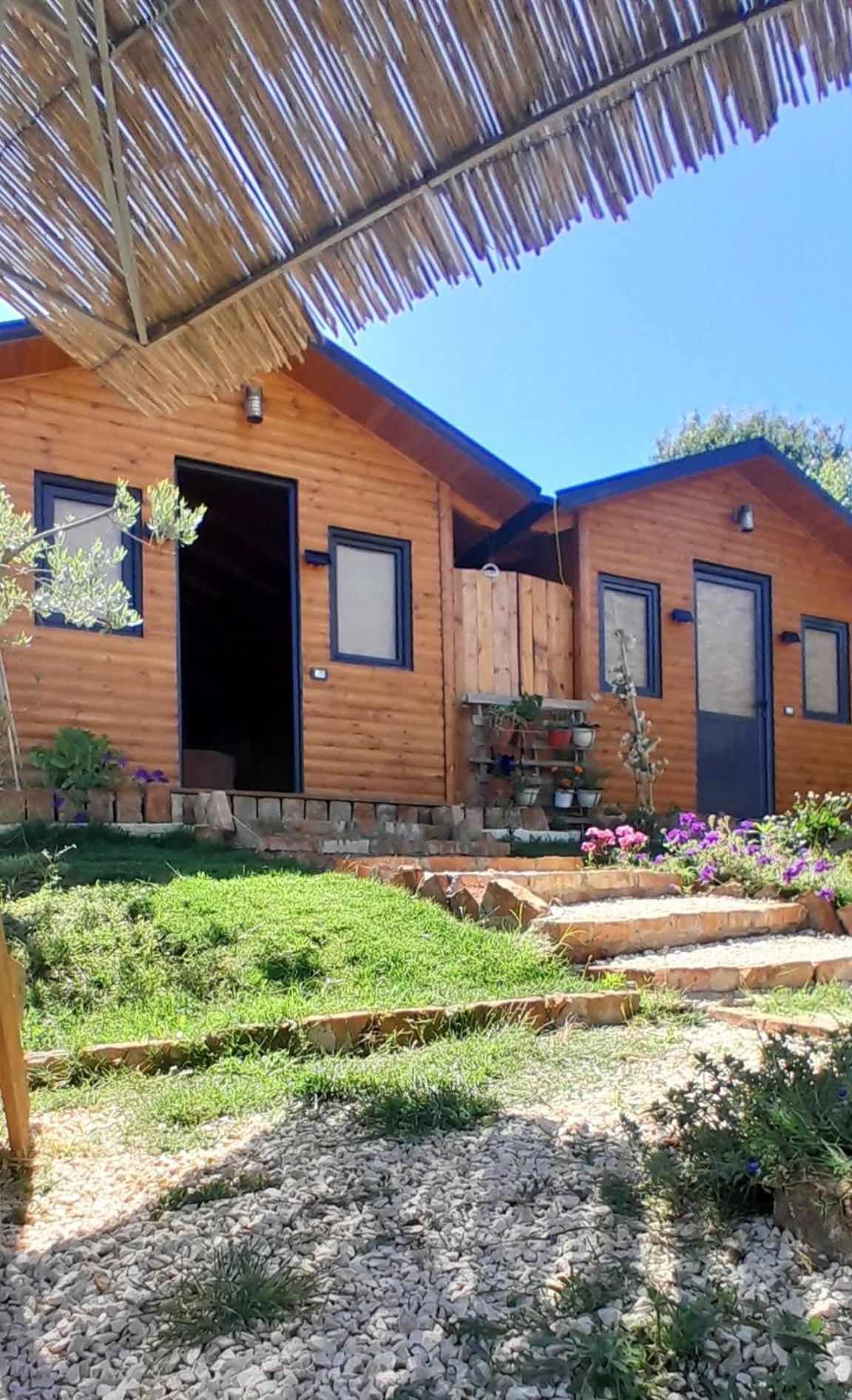 Bujtina Musta Guest House Berat Room photo